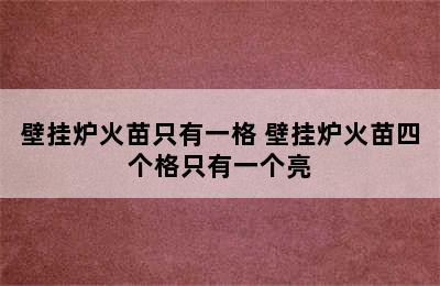 壁挂炉火苗只有一格 壁挂炉火苗四个格只有一个亮